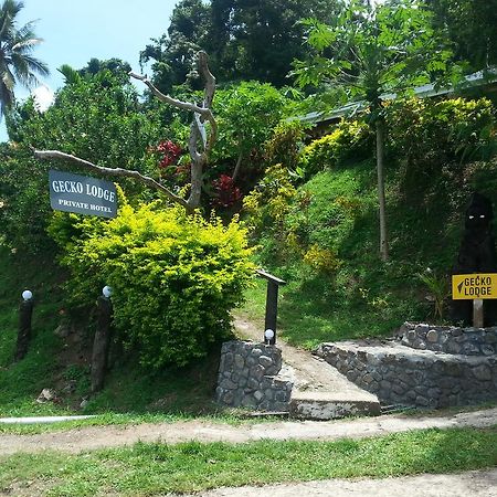 Gecko Lodge Fiji Savusavu Ngoại thất bức ảnh