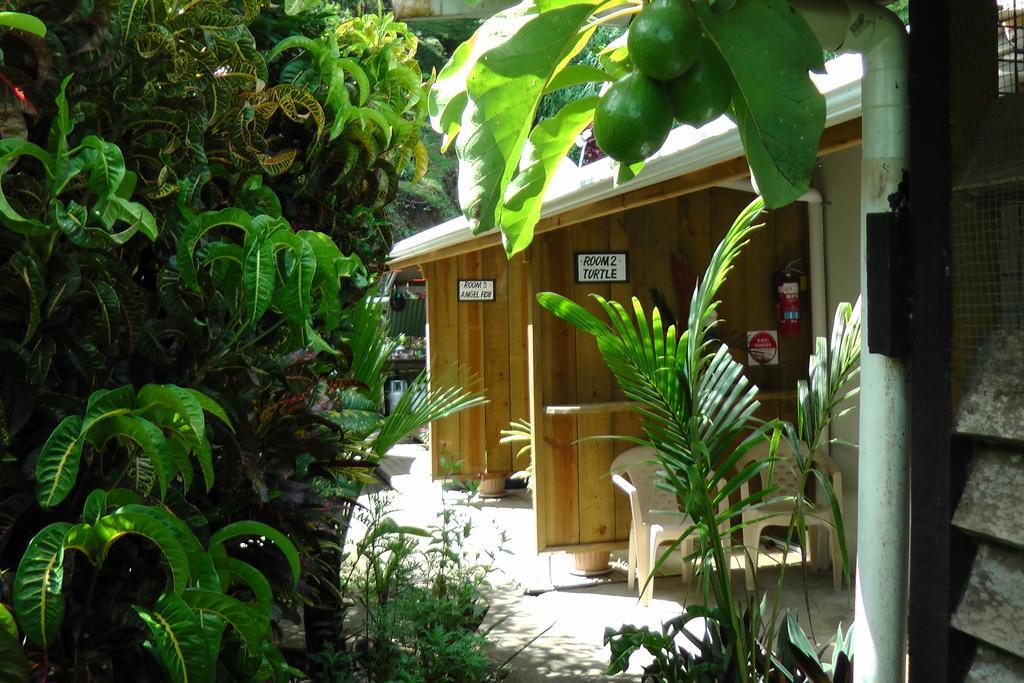 Gecko Lodge Fiji Savusavu Ngoại thất bức ảnh