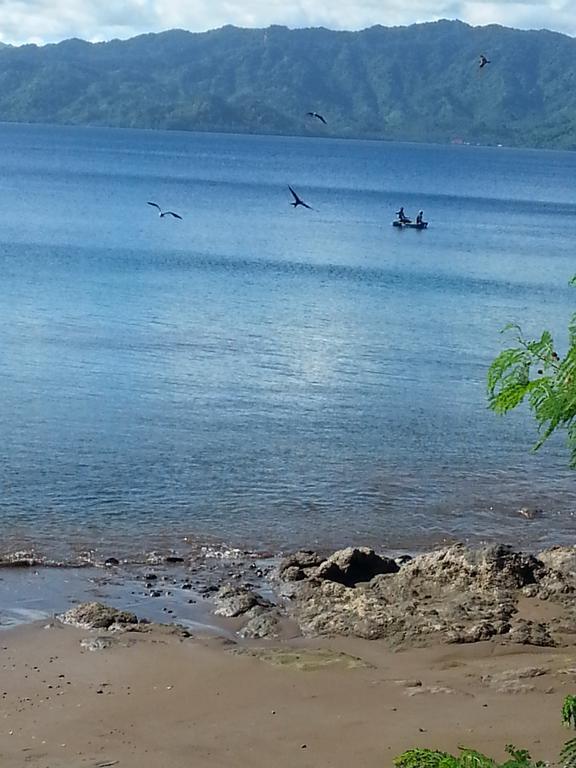 Gecko Lodge Fiji Savusavu Ngoại thất bức ảnh