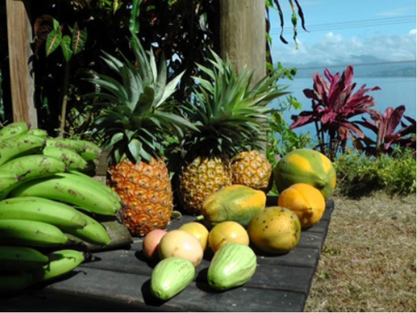 Gecko Lodge Fiji Savusavu Ngoại thất bức ảnh