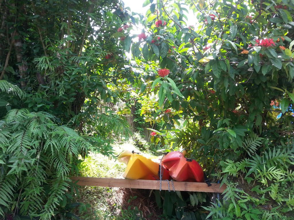 Gecko Lodge Fiji Savusavu Ngoại thất bức ảnh