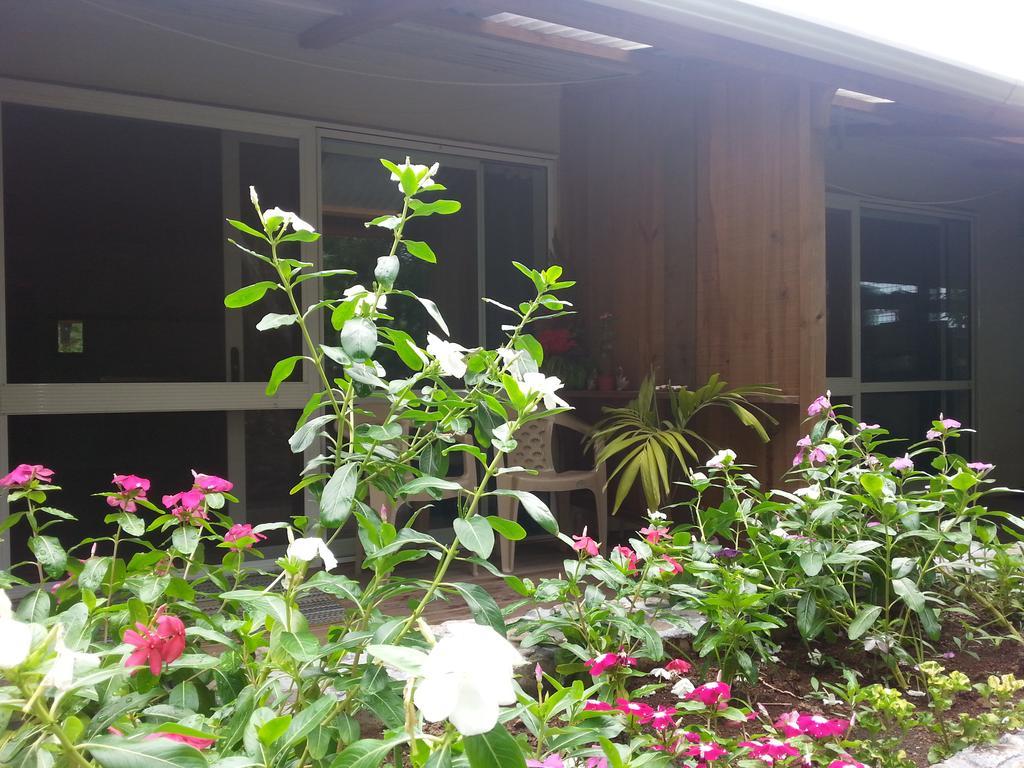 Gecko Lodge Fiji Savusavu Ngoại thất bức ảnh