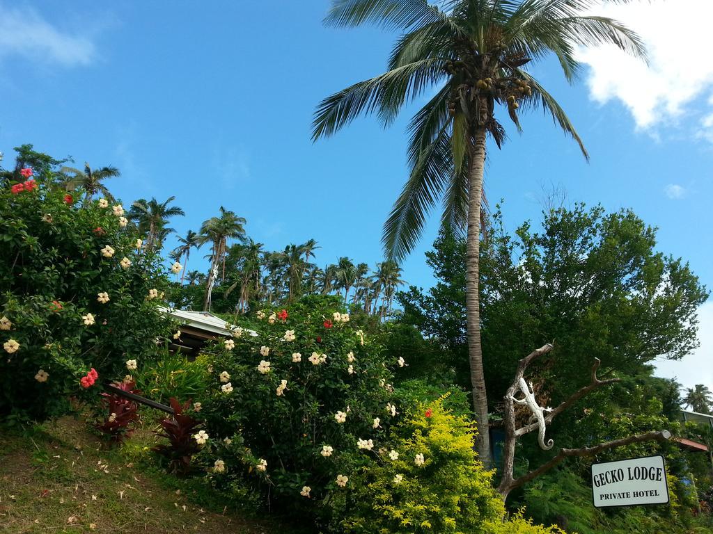 Gecko Lodge Fiji Savusavu Ngoại thất bức ảnh