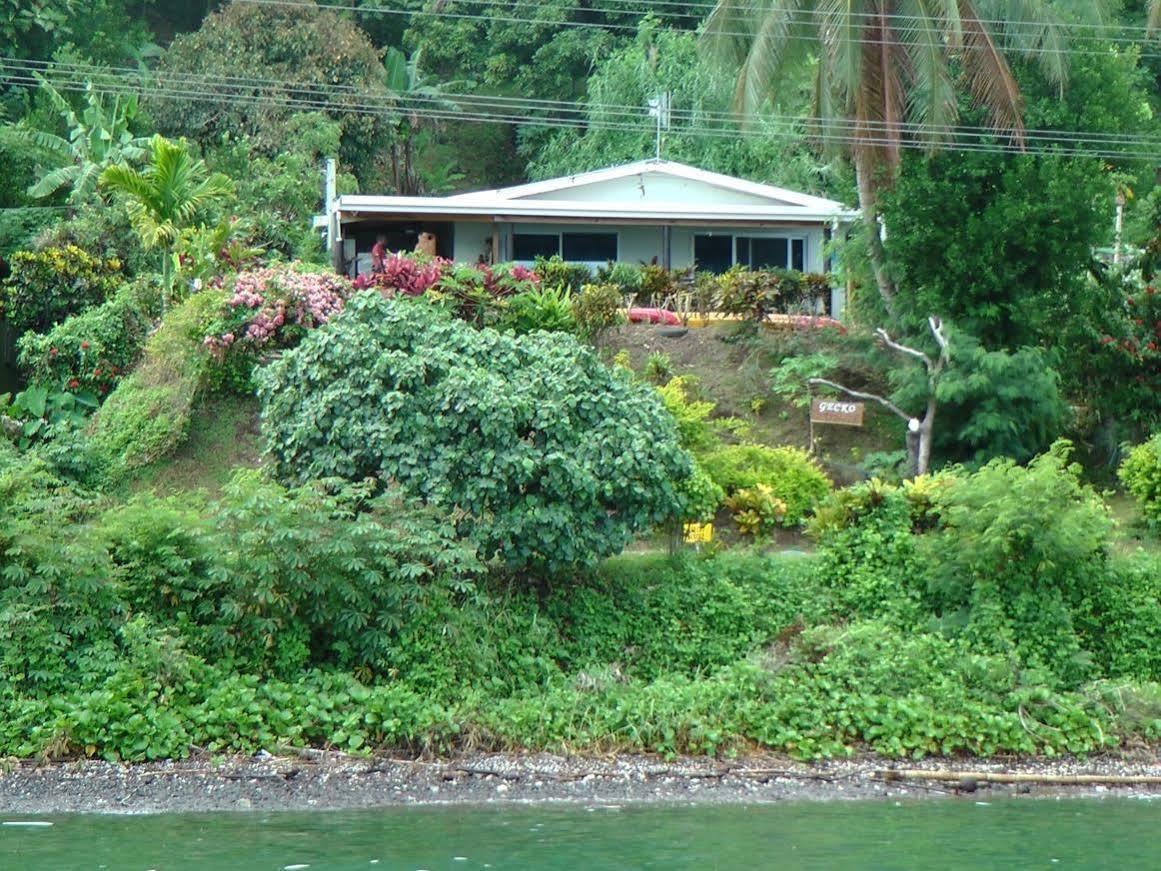 Gecko Lodge Fiji Savusavu Ngoại thất bức ảnh